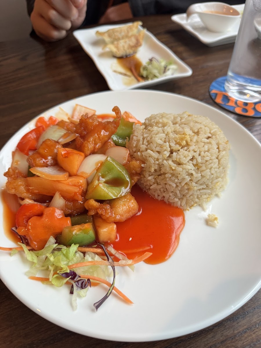 Jasmine Asian Restaurant Photos 2